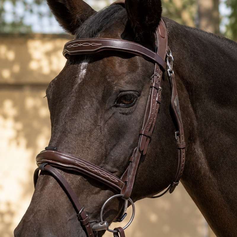 Bridon Ready To Ride avec surpiqûres marron