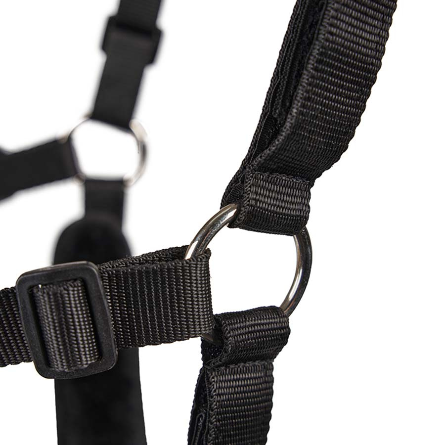 Panier anti-fourbure Deluxe Airflow Noir