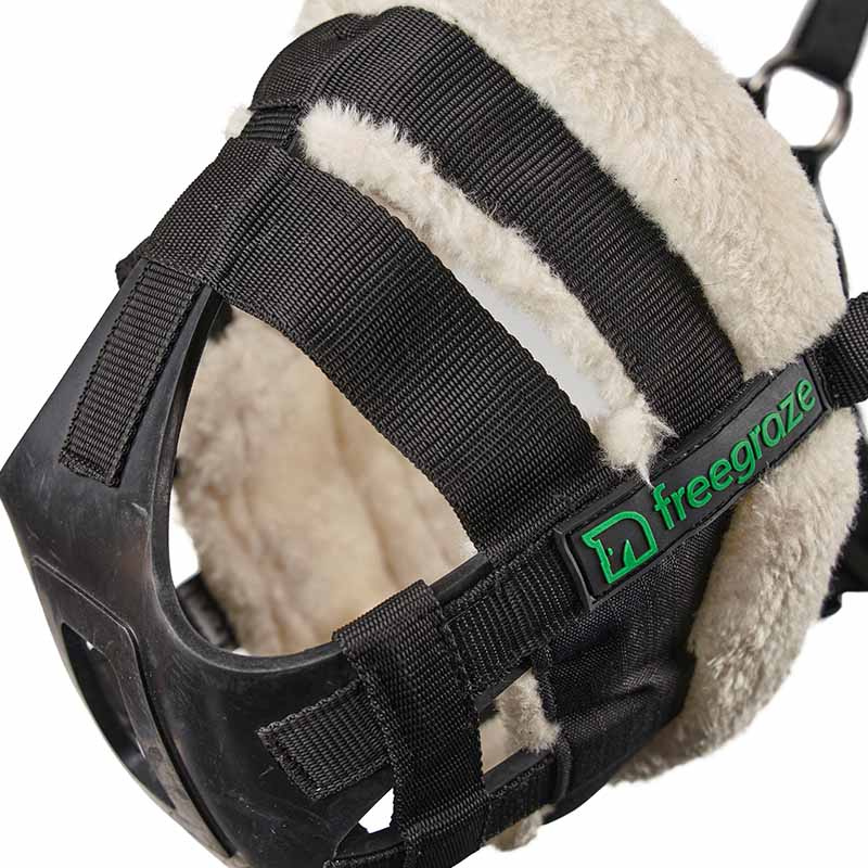 Panier anti-fourbure Deluxe Airflow Noir