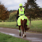Gilet réfléchissant Caution Horse Jaune Gilet réfléchissant Caution Horse Jaune