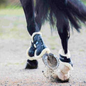 Protège-jambes Carbon Fleece Noir