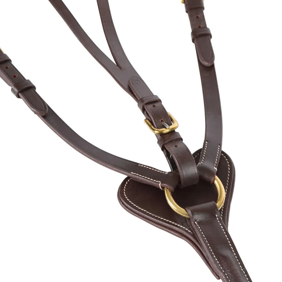 Colliers de chasse Salisbury Marron