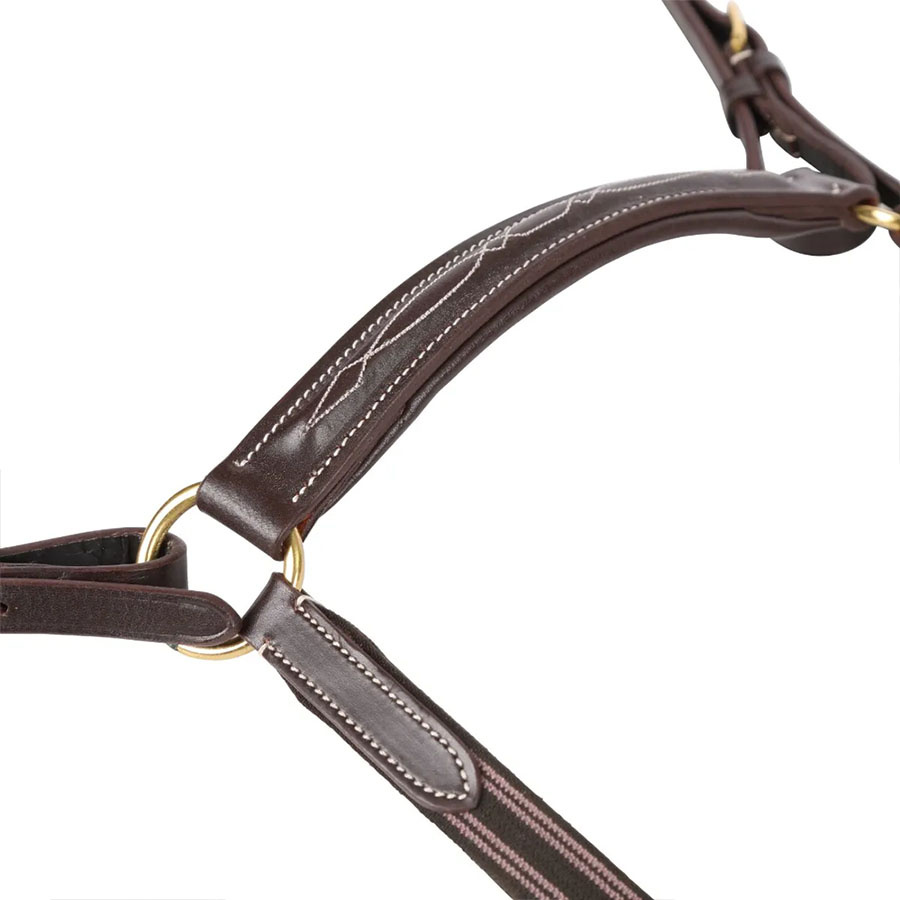 Colliers de chasse Salisbury Marron