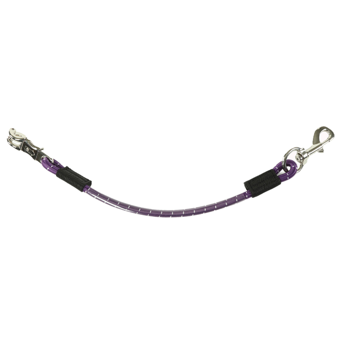 Longe de Transport Violet