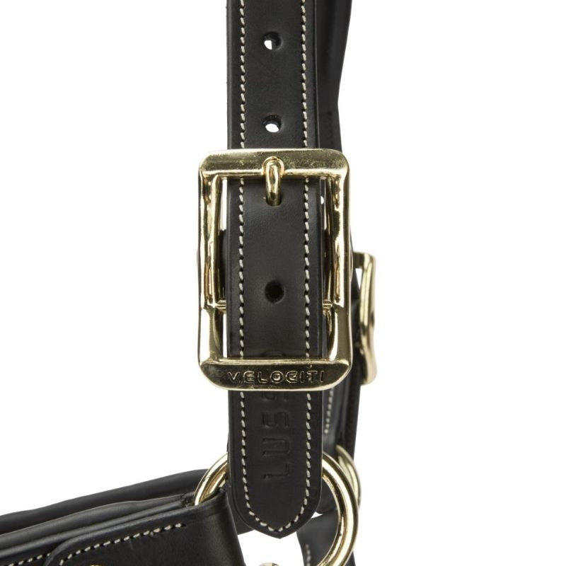 Licol en cuir LUSSO Lorca Noir