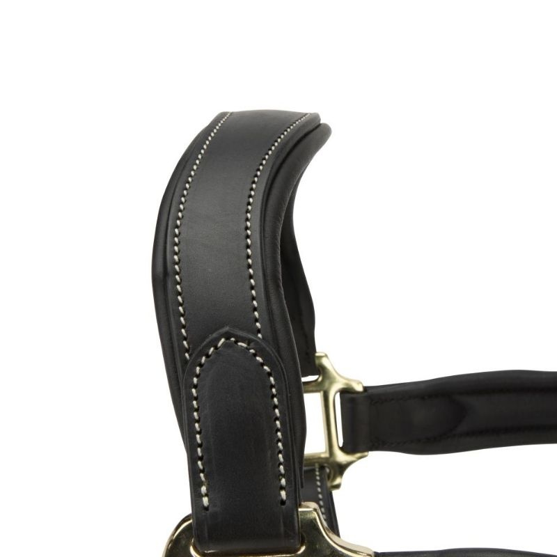 Licol en cuir LUSSO Lorca Noir