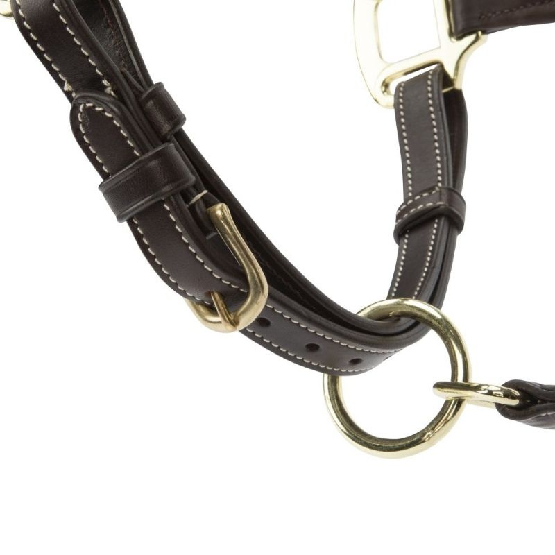 Licol en cuir LUSSO Lorca Marron