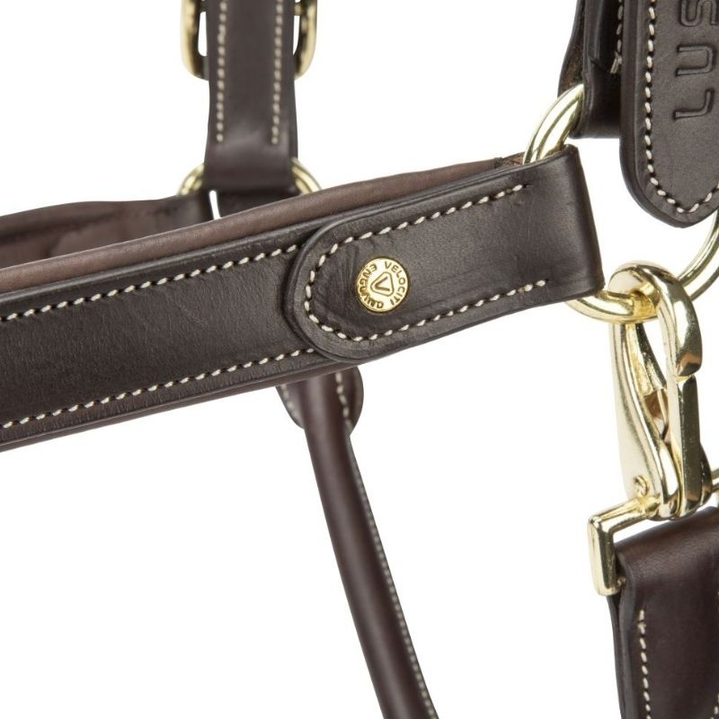 Licol en cuir LUSSO Lorca Marron