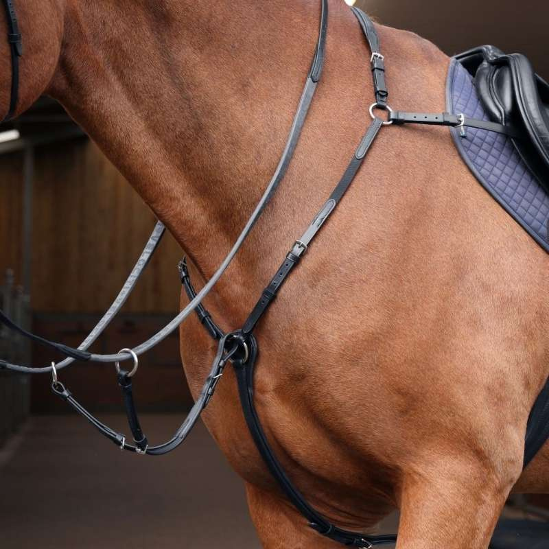 Collier de chasse avec martingale Rapida Noir