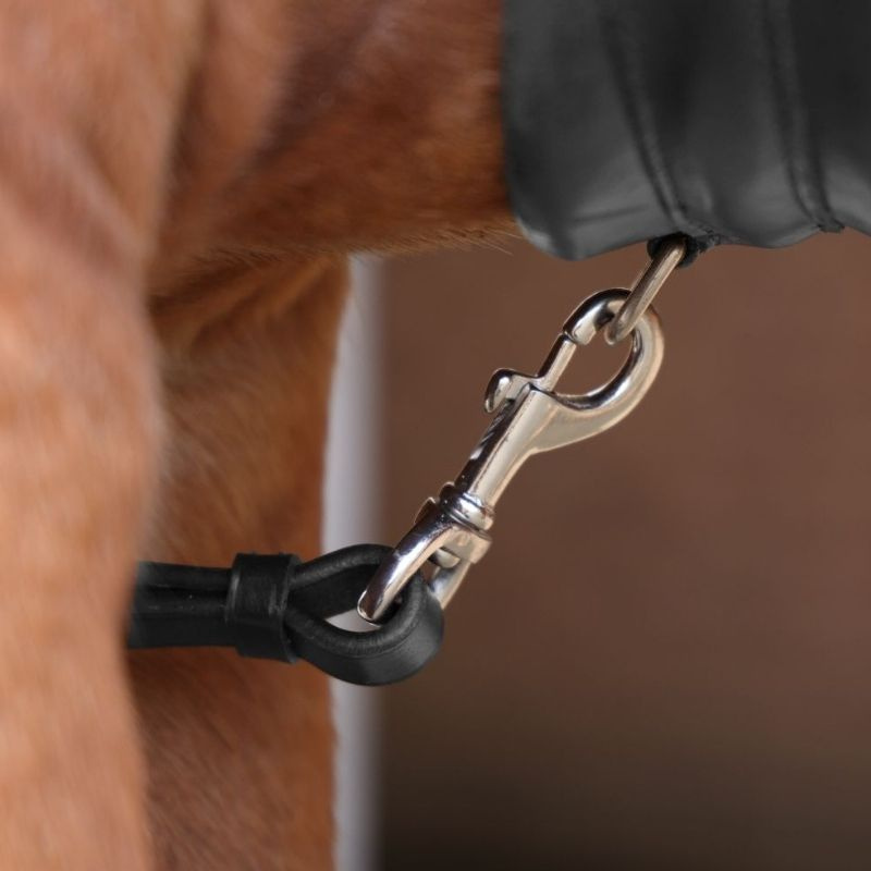 Collier de chasse avec martingale Rapida Noir