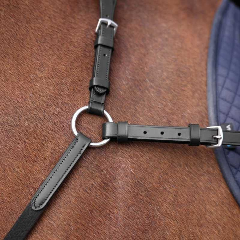 Collier de chasse avec martingale Rapida Noir