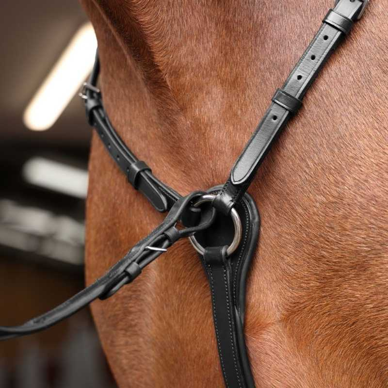 Collier de chasse avec martingale Rapida Noir