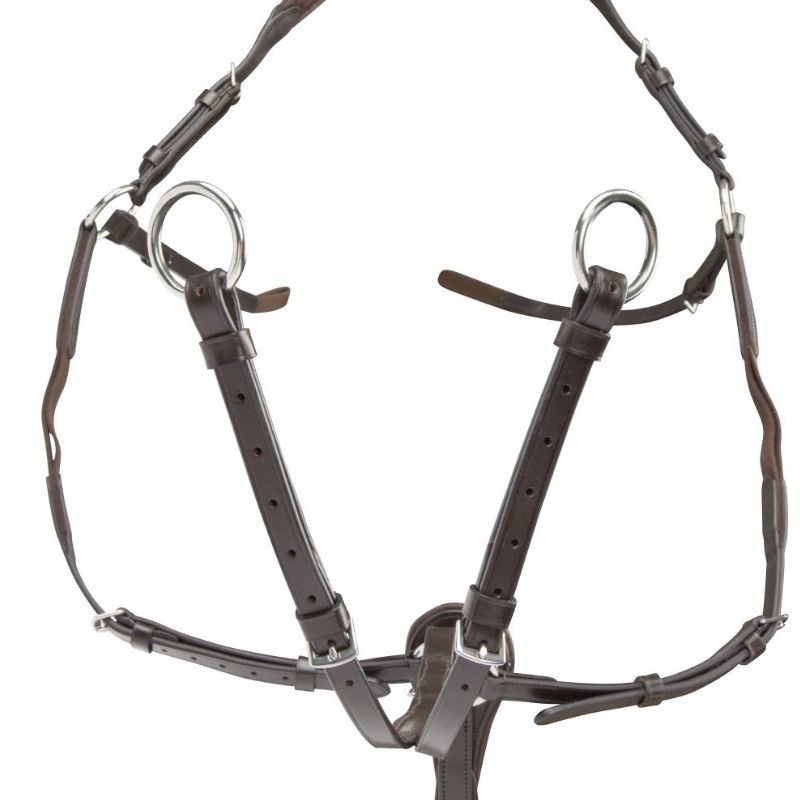 Collier de chasse avec martingale Rapida Marron