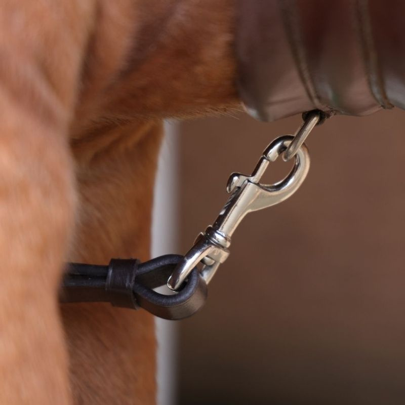 Collier de chasse avec martingale Rapida Marron