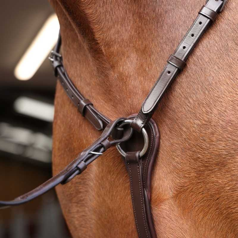 Collier de chasse avec martingale Rapida Marron