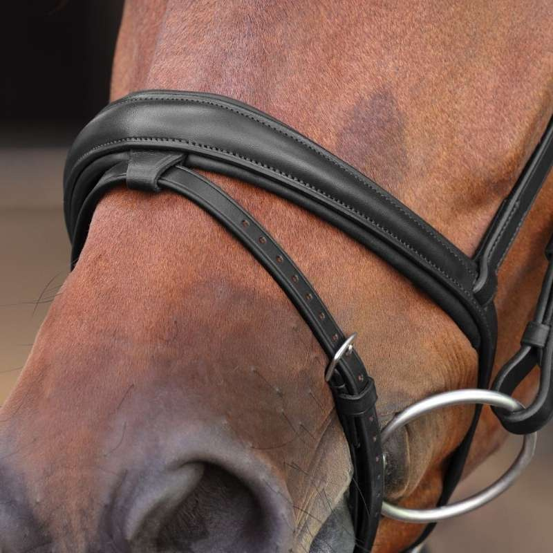 Bridon LUSSO Elite Noir