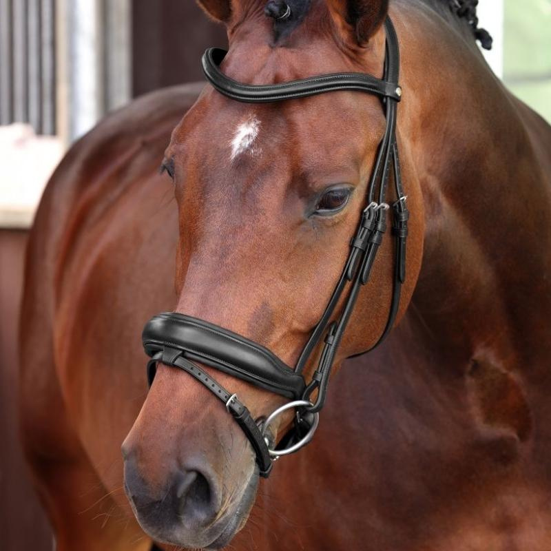 Bridon de dressage LUSSO Elite Noir