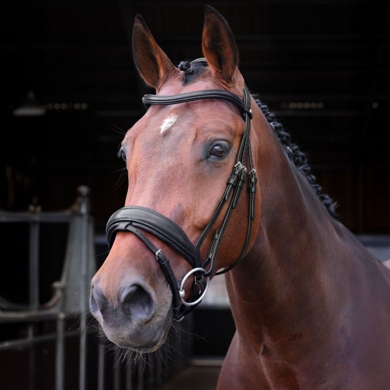 Bridon de dressage LUSSO Elite Noir