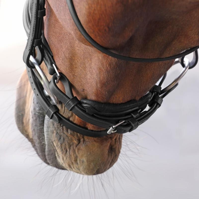 Bridon de dressage LUSSO Elite Noir