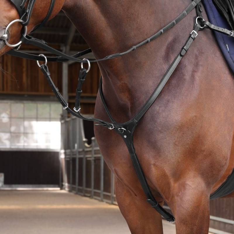 Collier de chasse avec martingale LUSSO Elite Noir