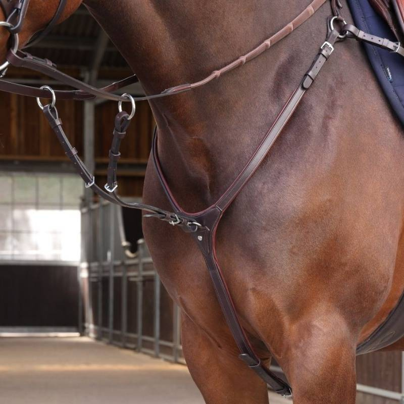Collier de chasse avec martingale LUSSO Elite Marron