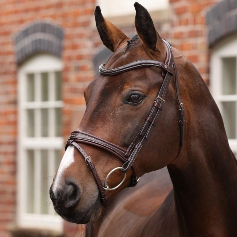 Bridon Muserolle Rembourrée LUSSO Opus 180M Marron