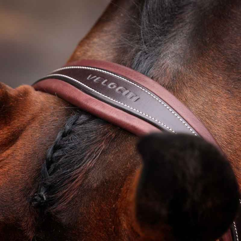 Bridon Muserolle Rembourrée LUSSO Opus 180M Marron