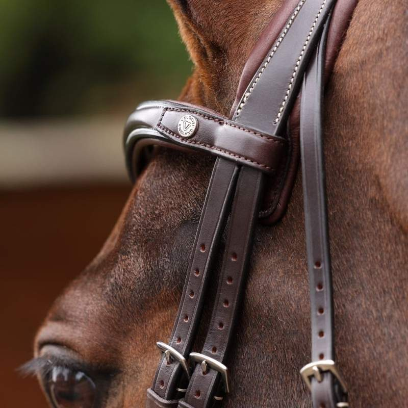 Bridon Muserolle Rembourrée LUSSO Opus 180M Marron