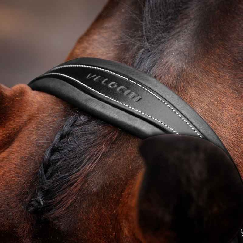 Bridon Large Muserolle LUSSO Opus 180M Noir