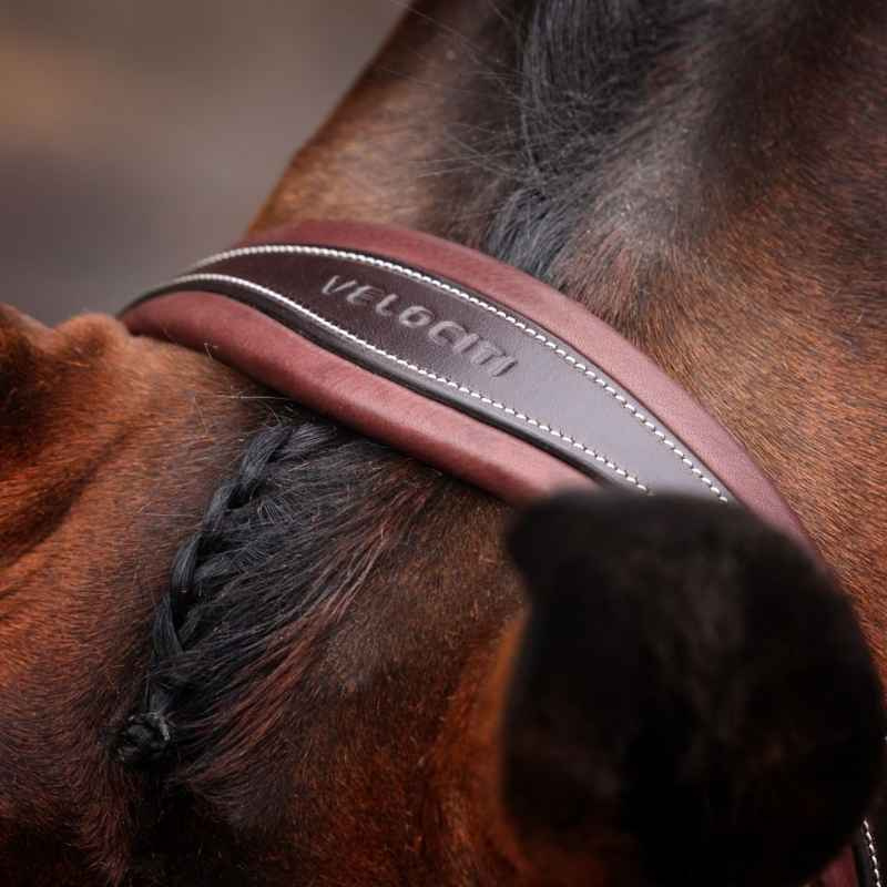 Bridon Large Muserolle LUSSO Opus 180M Marron