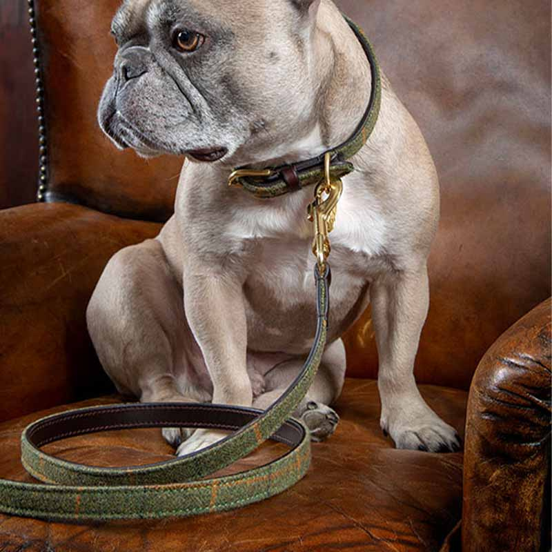 Collier pour chien en tweed/cuir vert 