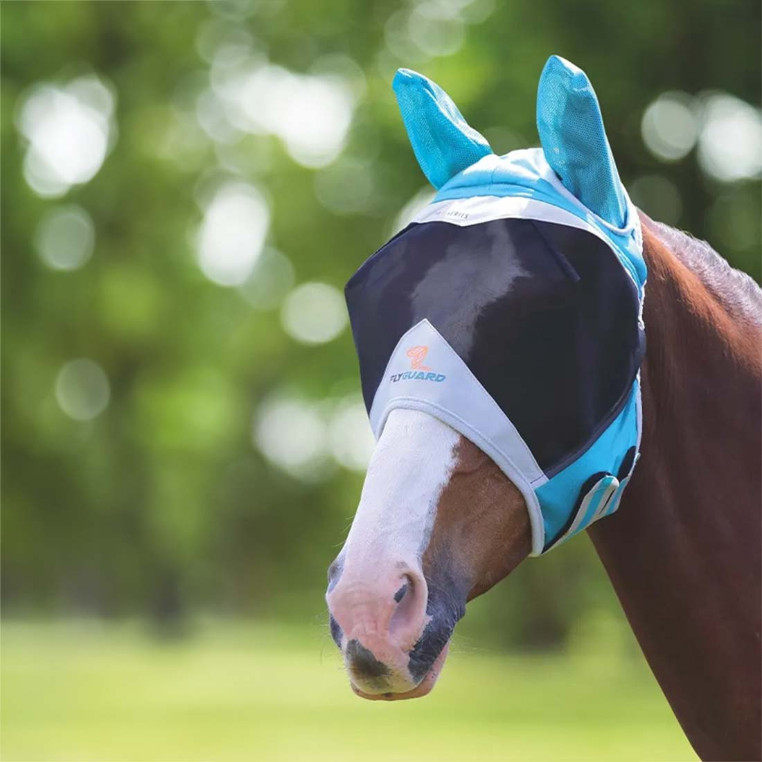 Masque anti-mouches en Mesh Fine Mesh avec Oreilles Teal/Gris