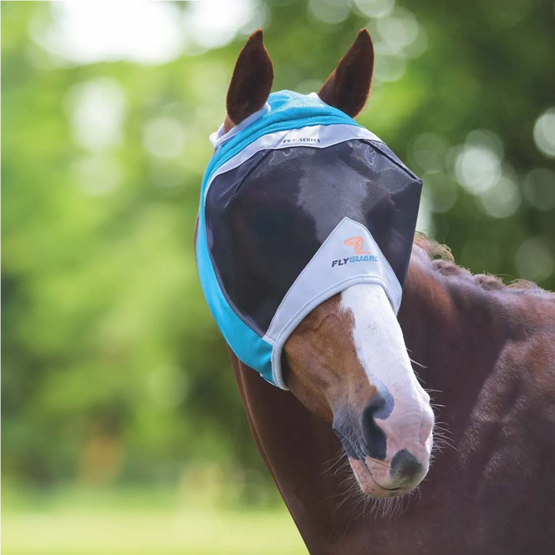 Masque anti-mouches en Mesh Fine Mesh avec Oreilles Teal/Gris