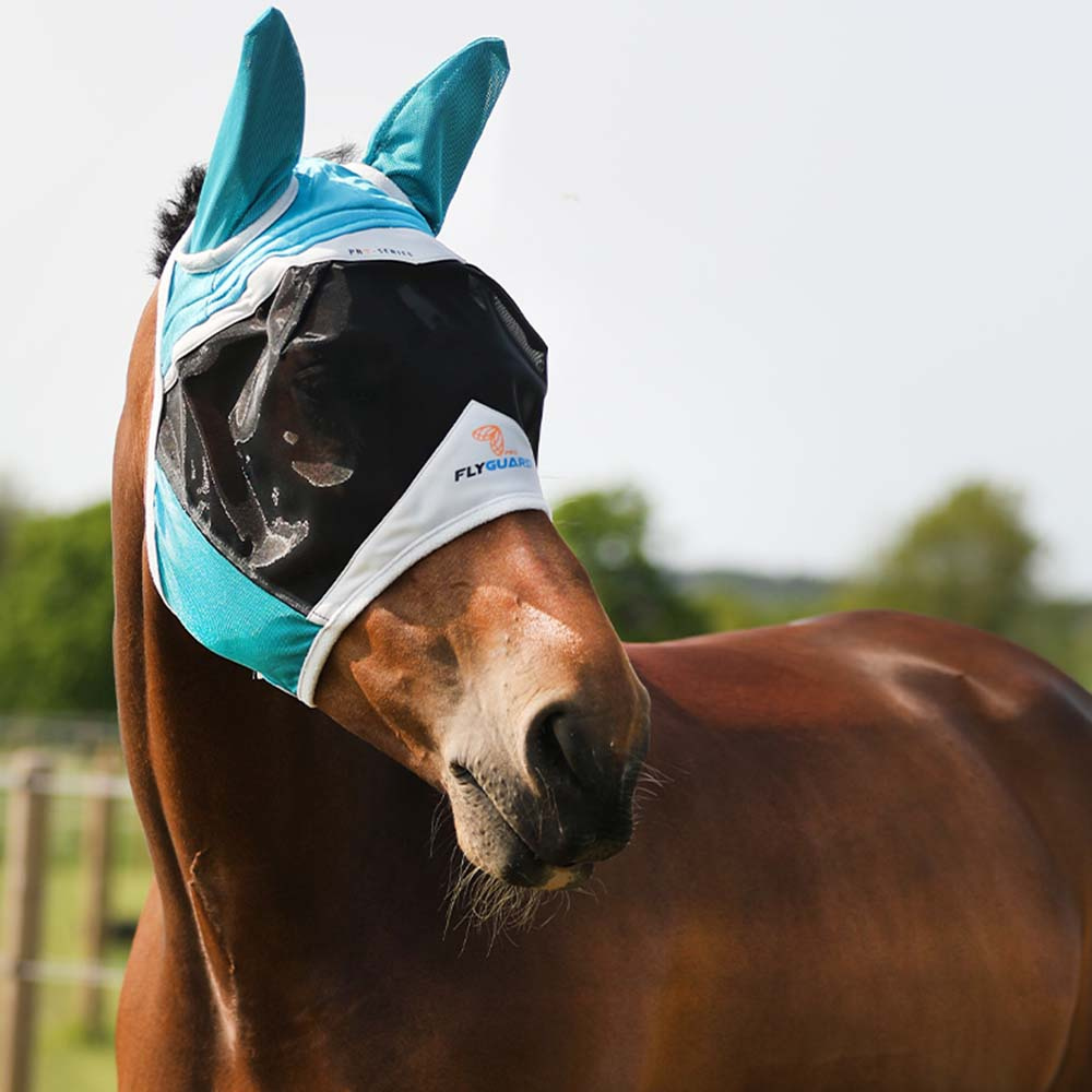 Masque anti-mouches en Mesh Fine Mesh avec Oreilles Teal/Gris