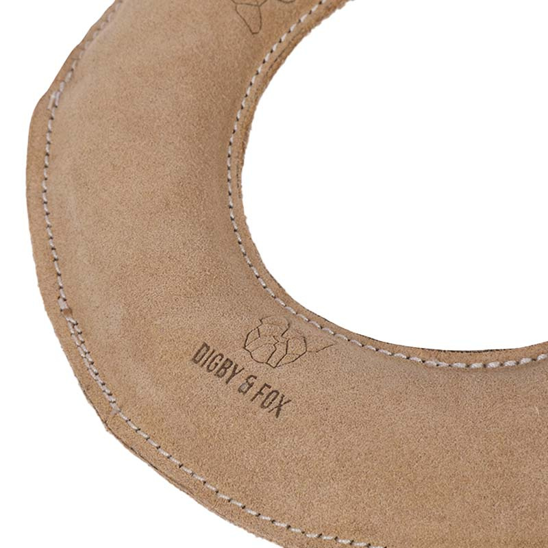 Jouet pour chien Anneau Nature