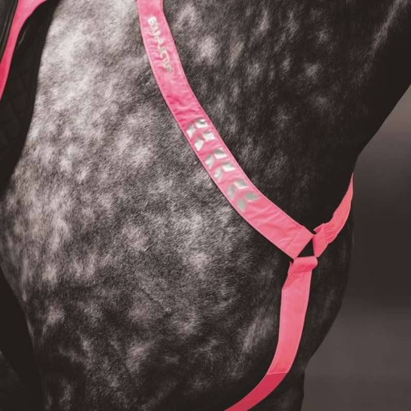 Collier de chasse Reflective Rose