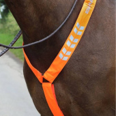 Collier de chasse Reflective Orange Collier de chasse Reflective Orange