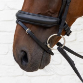 Bridon de dressage Medium Muserolle Soft Collection Noir Bridon de dressage Medium Muserolle Soft Collection Noir