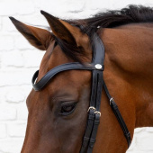 Bridon de dressage Medium Muserolle Soft Collection Noir Bridon de dressage Medium Muserolle Soft Collection Noir