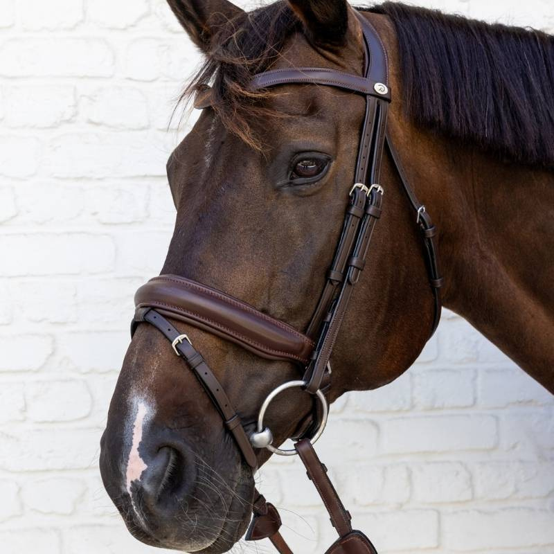 Bridon de dressage Medium Muserolle Soft Collection Marron