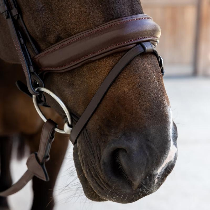 Bridon de dressage Medium Muserolle Soft Collection Marron
