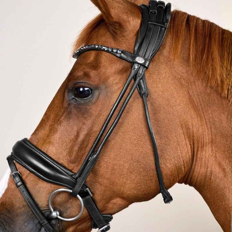 Bridon de dressage Muserolle large Soft Collection Noir