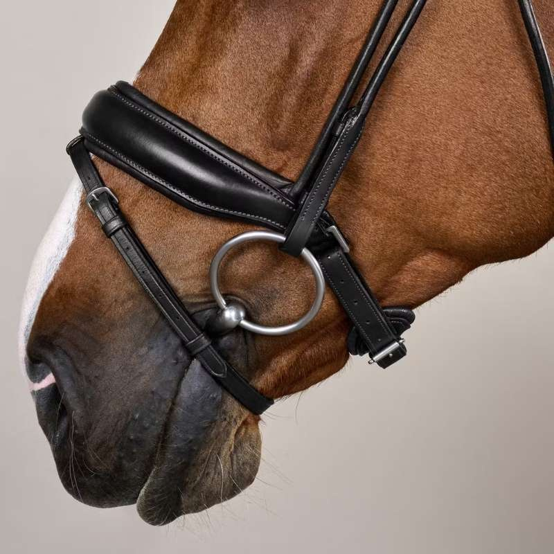 Bridon de dressage Muserolle large Soft Collection Noir