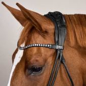 Bridon de dressage Muserolle large Soft Collection Noir Bridon de dressage Muserolle large Soft Collection Noir