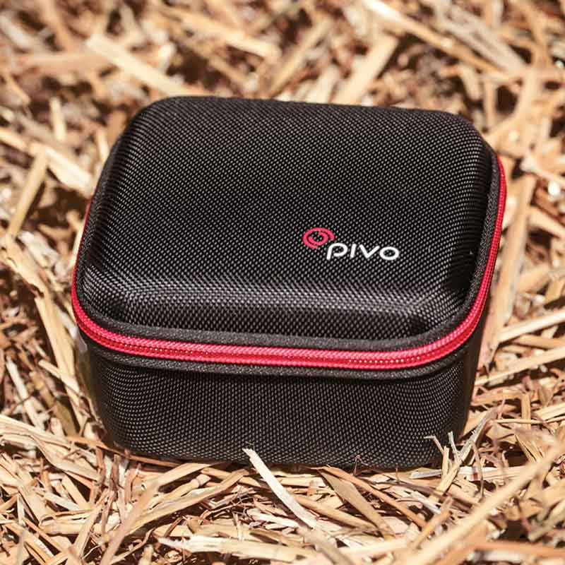 Travel Case Mini pour Pivo Pod Noir