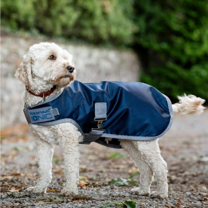 Manteau pour chien Ionic Therapy 50g Bleu/Argent