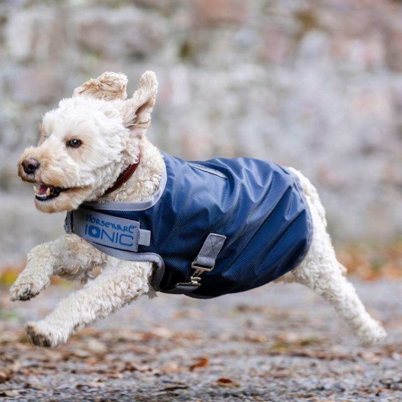 Manteau pour chien Ionic Therapy 50g Bleu/Argent