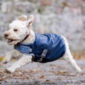Manteau pour chien Ionic Therapy 50g Bleu/Argent Manteau pour chien Ionic Therapy 50g Bleu/Argent