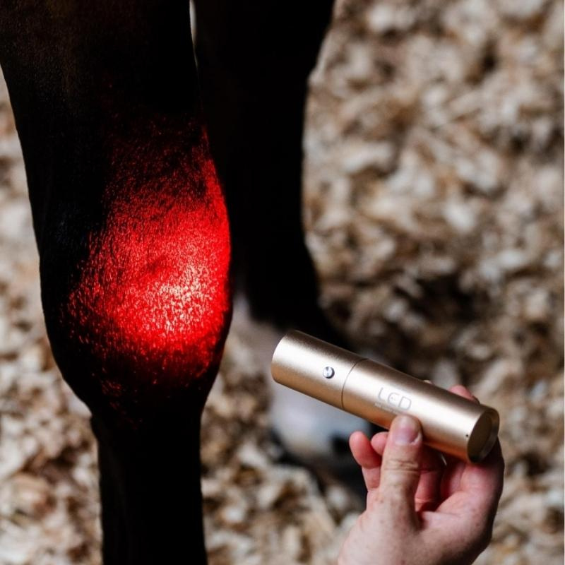 Lampe de thérapie LED Red Light Therapy Wand
