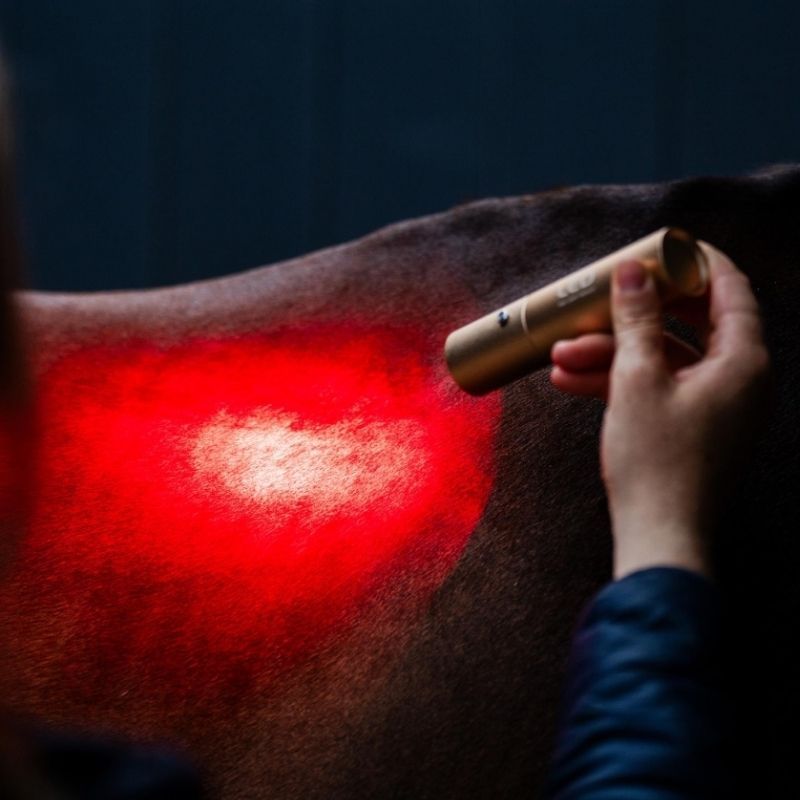 Lampe de thérapie LED Red Light Therapy Wand